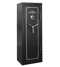 New gun safe - second amendment (59