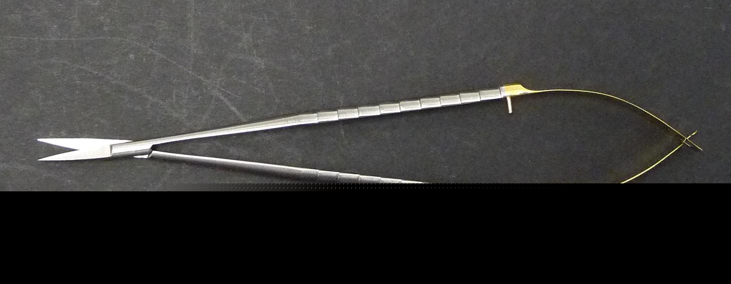 New straight 15CM micro scissor dental instrument tool