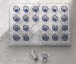 Bd falcon fluoroblok cell culture inserts for compound