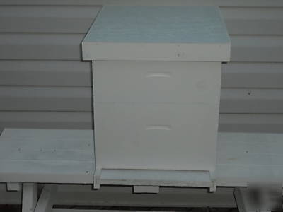Beehive langstroth hive 10 frame honey bee beekeepers