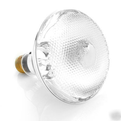 Discontinued flood lamps for super sale