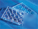 CostarÂ® 12 well clear tc-treated microplates #3513