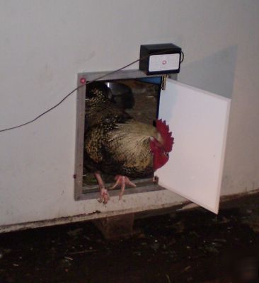 Pullet-shut automatic chicken coop door