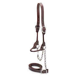 Chocolate round strap show halter â€“ yearling