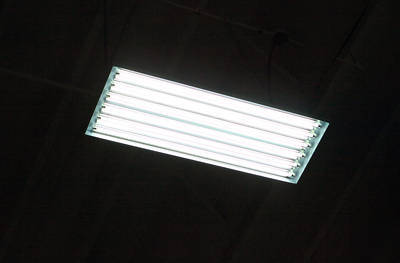 T5 ho fluorescent 6 lamp fixture-best grow lights