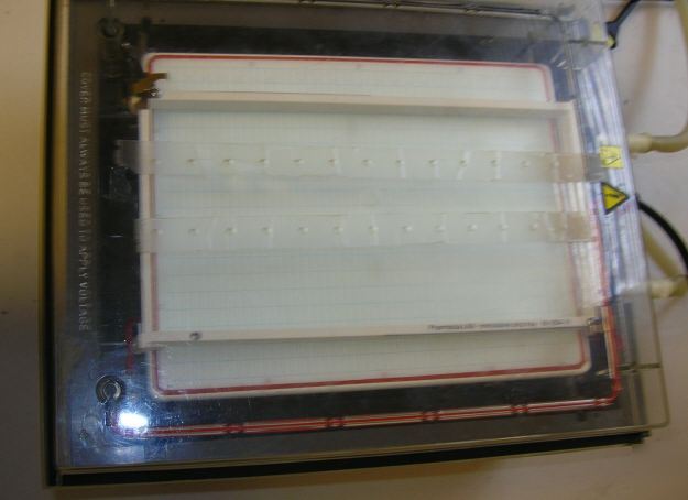 Multiphor ii electrophoresis system, includes