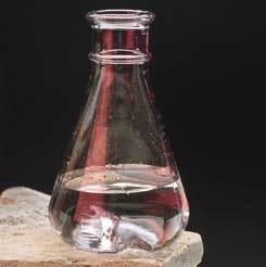 Nalge nunc baffled culture flasks, : 4110-0500