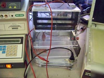 10 pcs apparatus rflp electrophoresis laboratory-bior