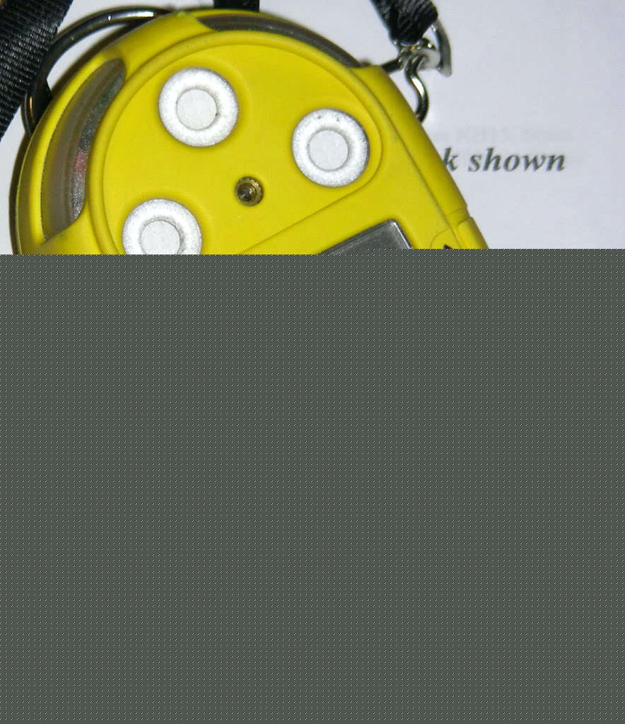 Bw gas alert micro gas monitor O2 co H2S lel calibrated