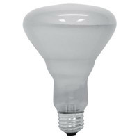 2 rough service incandescent reflector flood lamps 110W