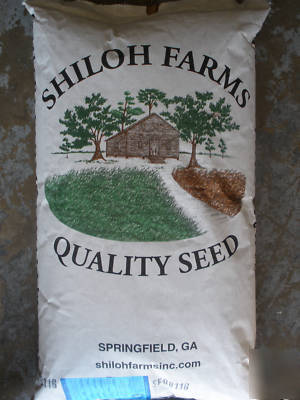 Tifquik certified bahia grass seeds 75% faster germ 40#