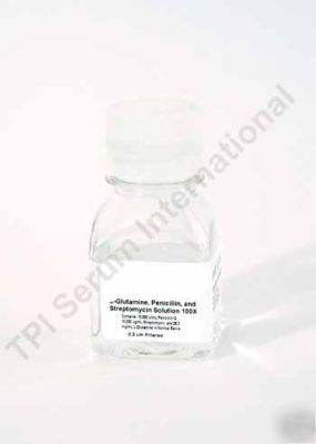 L-glutamine, penicillin, streptomycin solution - 100ML