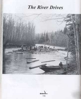 There's daylight in the swamps logging photos history 