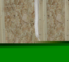 New fomo P10764 ii-605 handi-foam spray foam - air seal