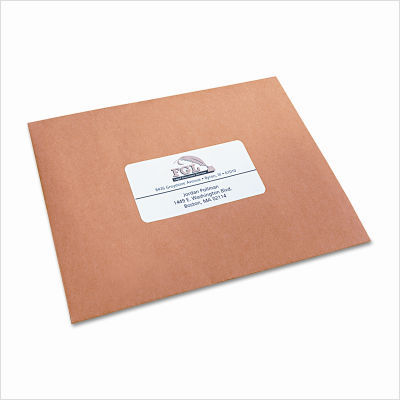 White ink jet mailing labels, 2 x 4, 250/pack
