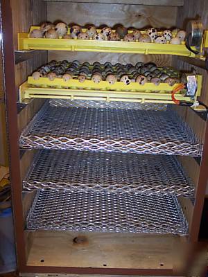 5 tray hatching egg incubator 