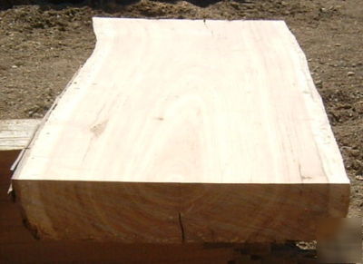 Hand hewn beam stair tread 