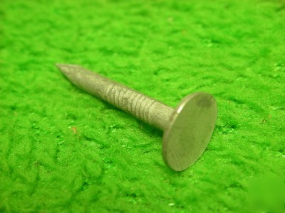 25LB eg electro galvanized siding roof-ing nail 11GA 1