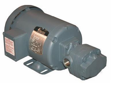 Delta power hydraulic 110VAC pump motor unit A23+A154