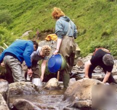 Gold silver platinum nugget panning paydirt locations Â©