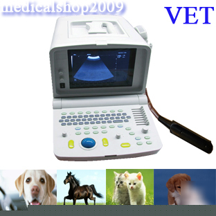 New vet portable b-ultrasound scanner for veternary use