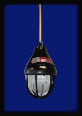 Crouse hinds explosion proof industrial light (black)