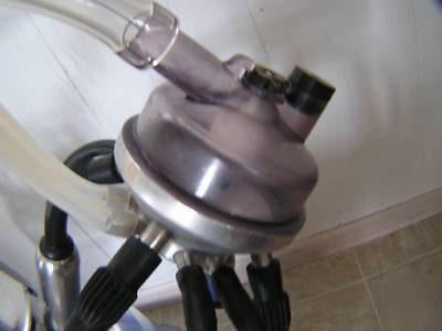 New used portable cow milker with plastic bucket 