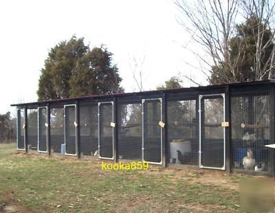 Silkie pure breed chicken incubator hatching eggs 9+