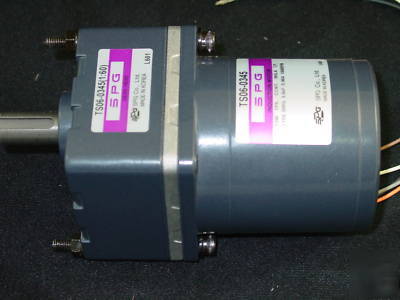 Spg ac geared motor TS06-0345 (1:60)